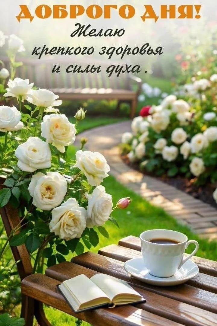 Доброе утро. Хорошего дня и отличного настроения!