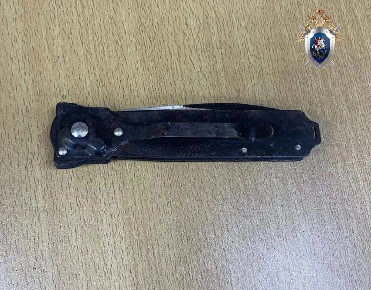 🤯 19-летний хабаровчанин зарезал приятеля в гостях, а затем угрожал ножом росгвардейцам  В ночь на 2