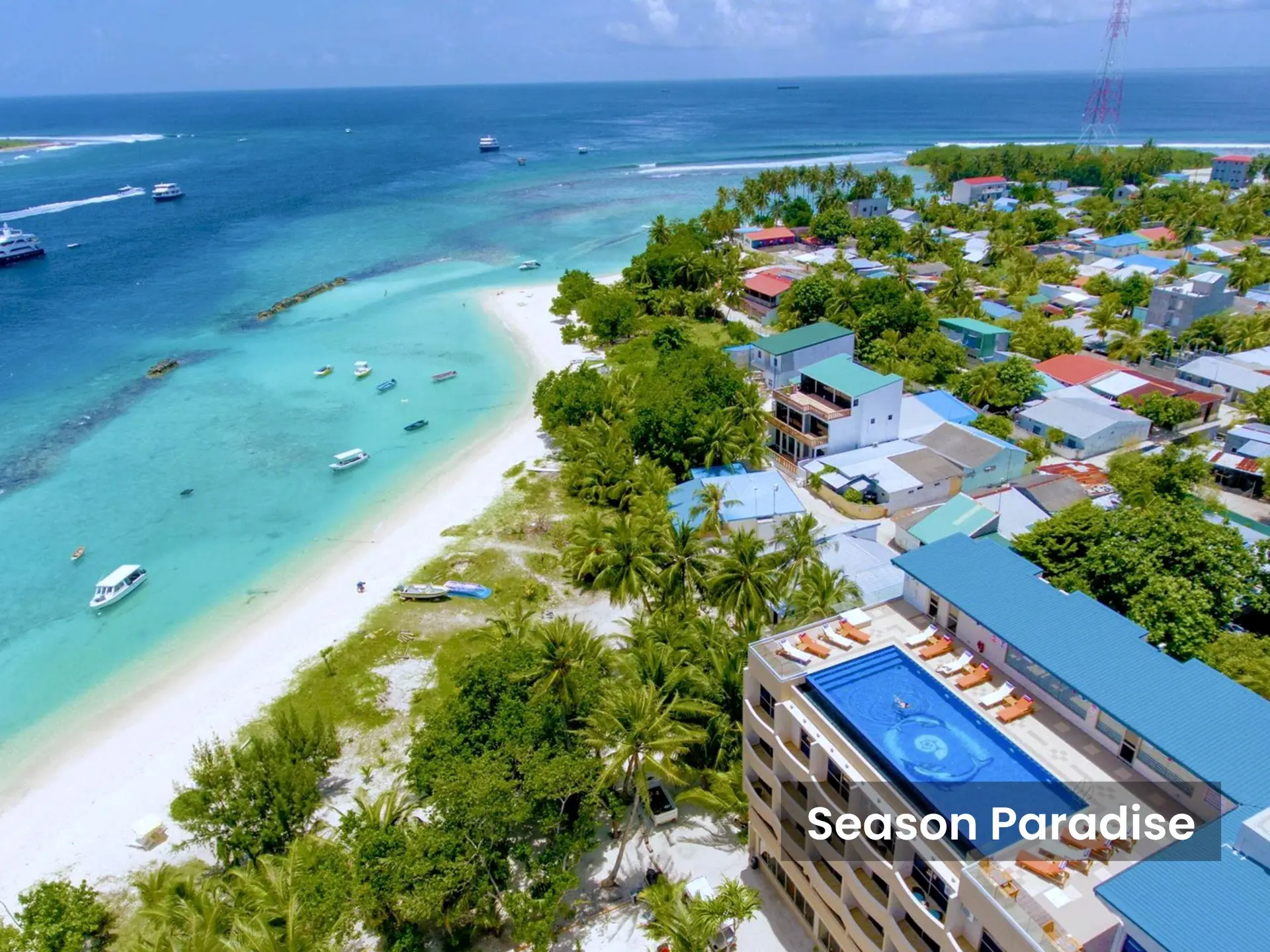 Реально ли бюджетно слетать на Мальдивы? 🤔🇲🇻