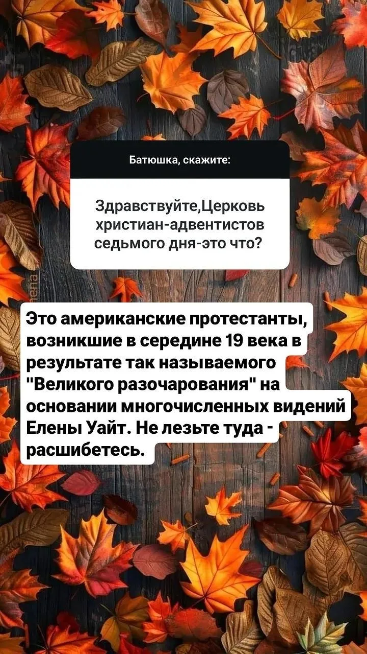 Свежая #любимаярубрика