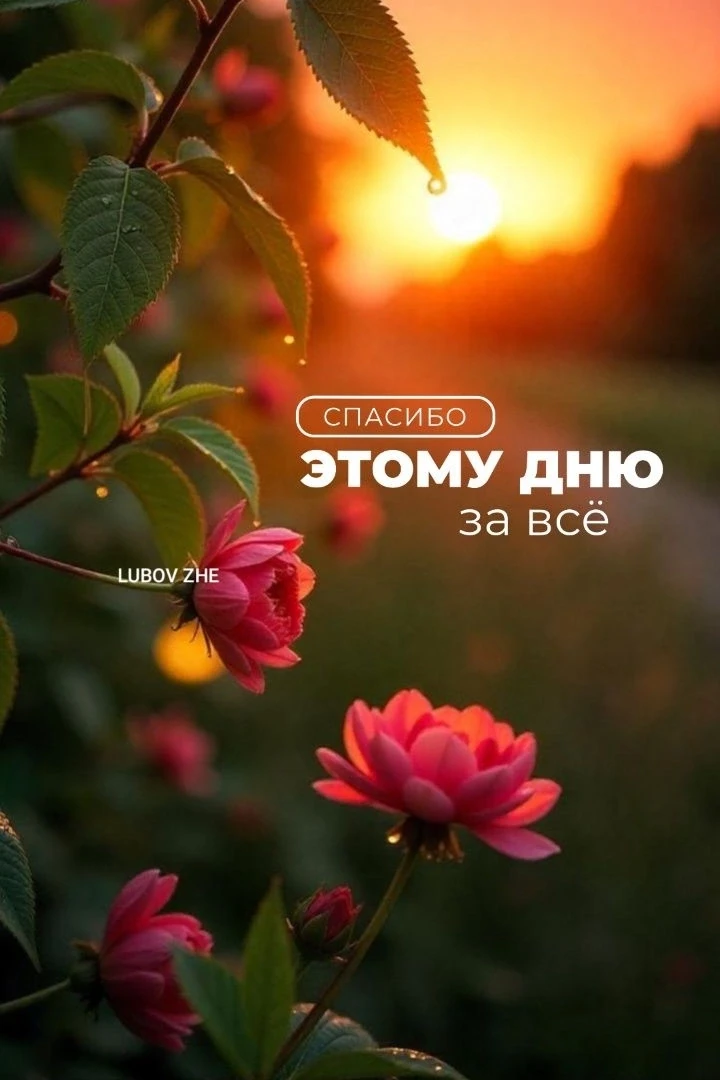 Доброго вечера!