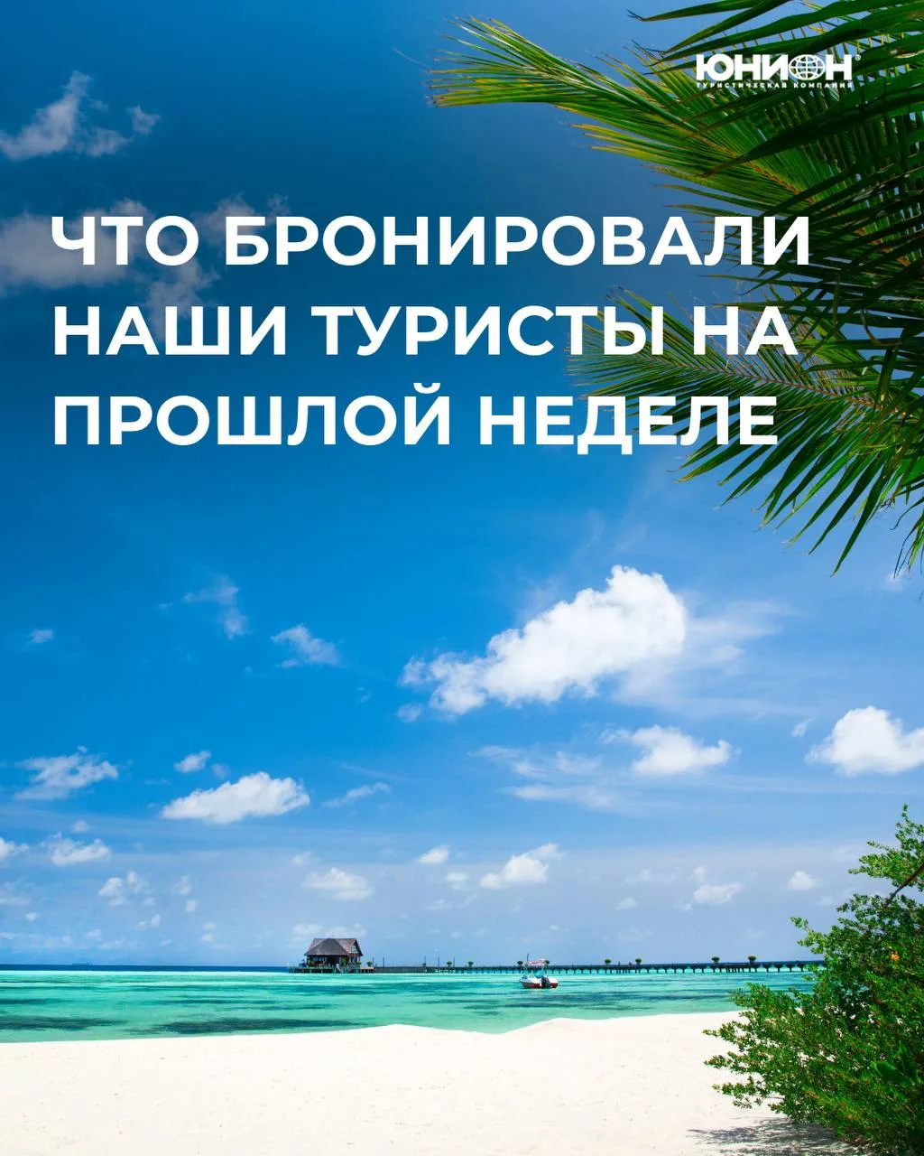 Что бронировали наши туристы на прошлой неделе?

На прошлой неделе лидерами продаж стали Мальдивы 😍