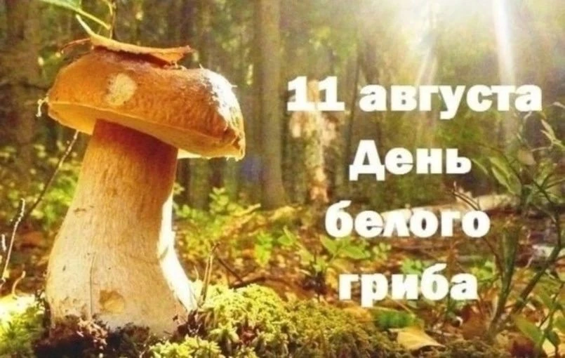 🍄 День гриба в детском саду: весело и познавательно! 🍄