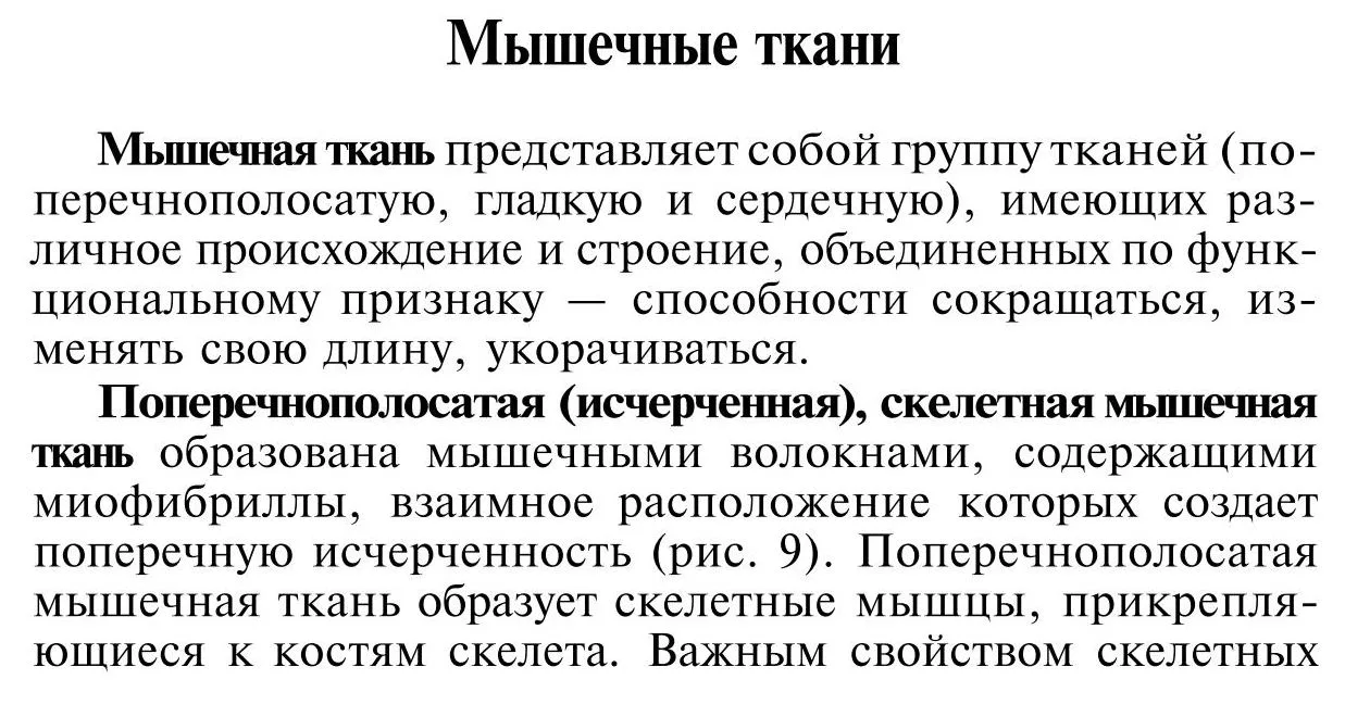 Мышечная и нервная ткань
