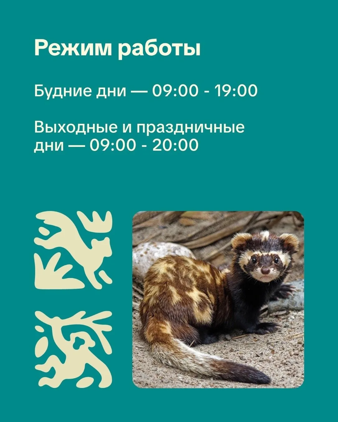 ⏰Новосибирский зоопарк перешел на осенний режим работы.