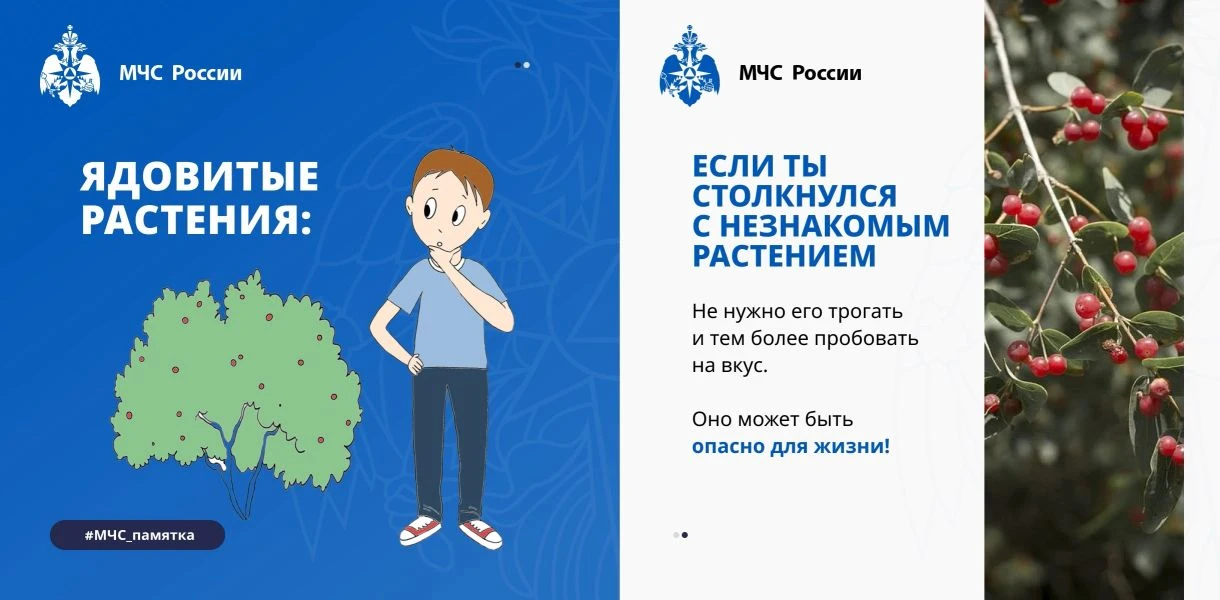 Уважаемые подписчики, помните ваша безопасность - в ваших руках! Берегите себя и своих ...