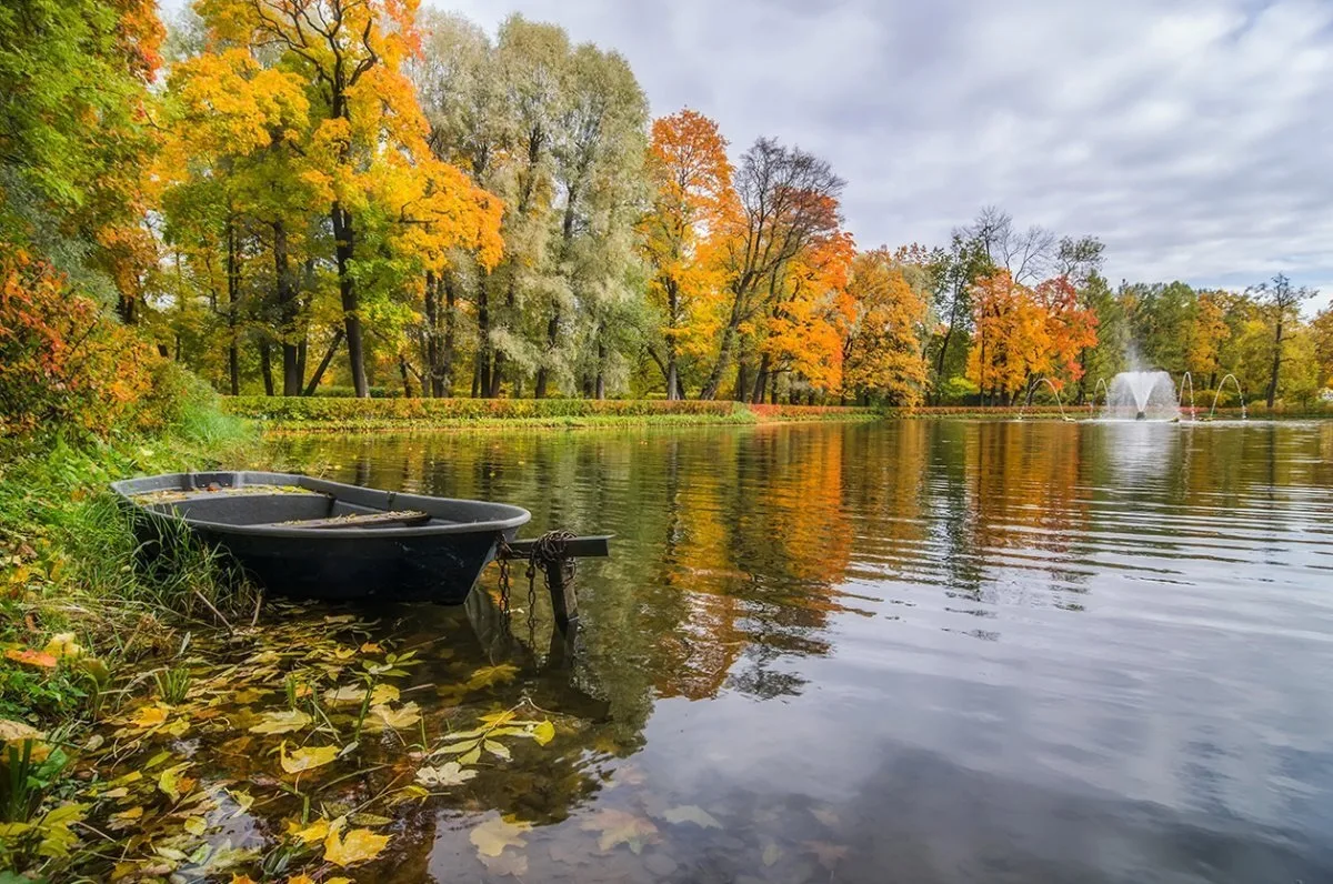 🍂 Осень — «золотое время» для рыболовов. Природа успокаивается, а клев становится по-н...