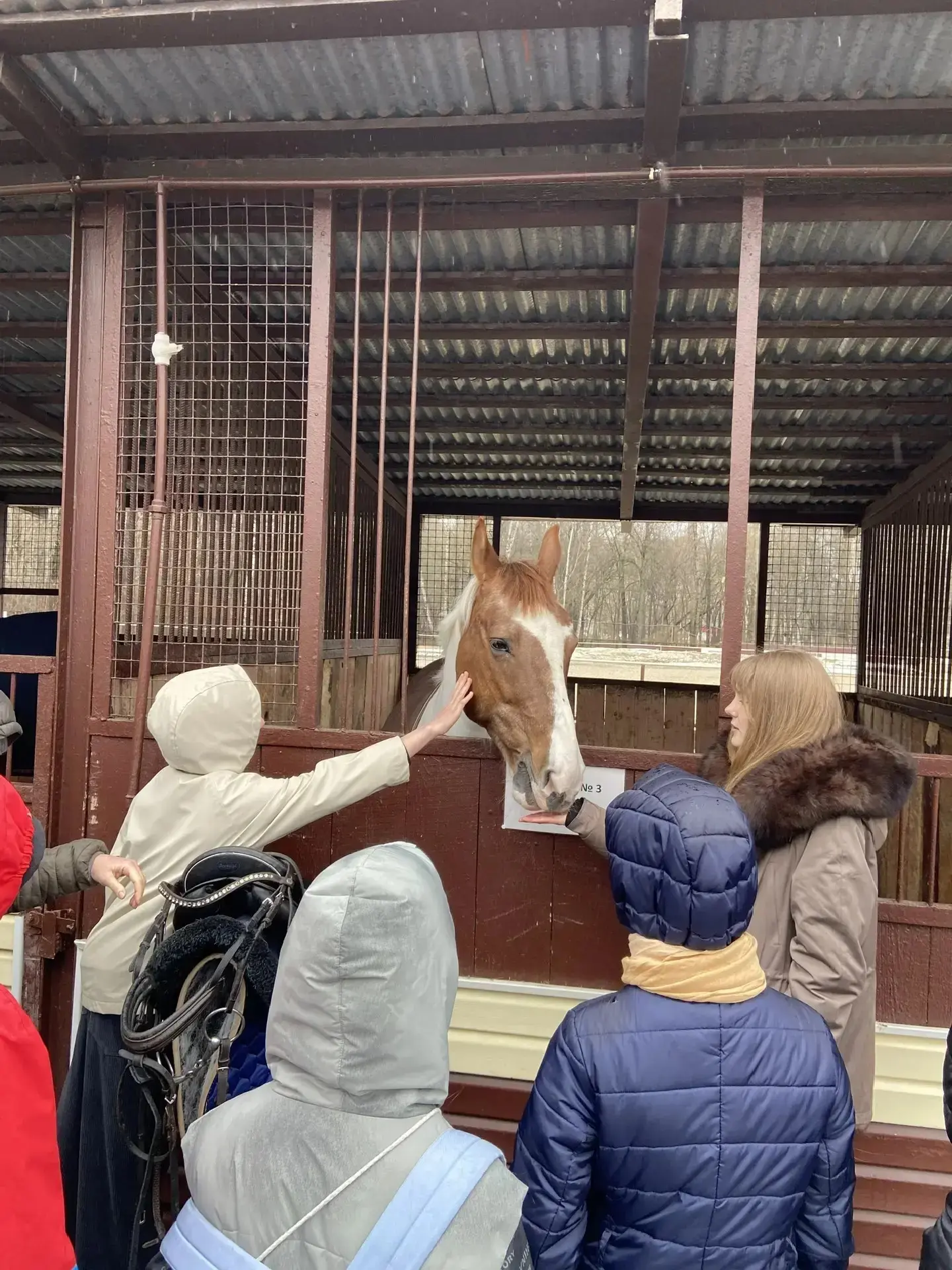 🐴 В гостях у пони!  Ученицы 4 «С» класса Елизавета и Виолетта нашей школы побывали на экскурсии в ко
