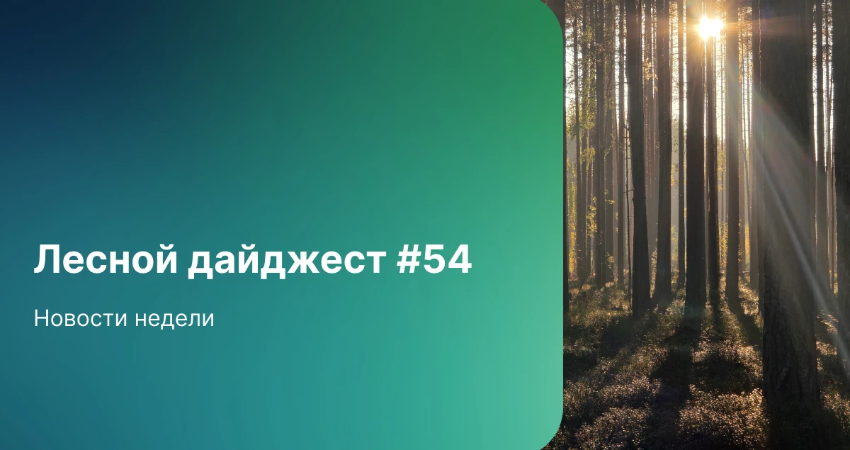 Дайджест недели #54