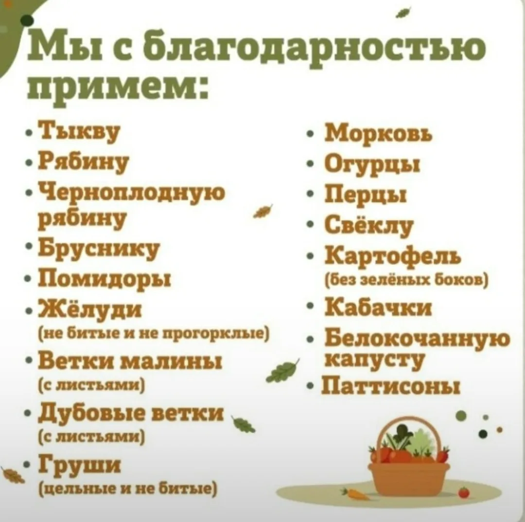 Мы объявляем старт традиционной сентябрьской благотворительной акции Ленинградского зоо...