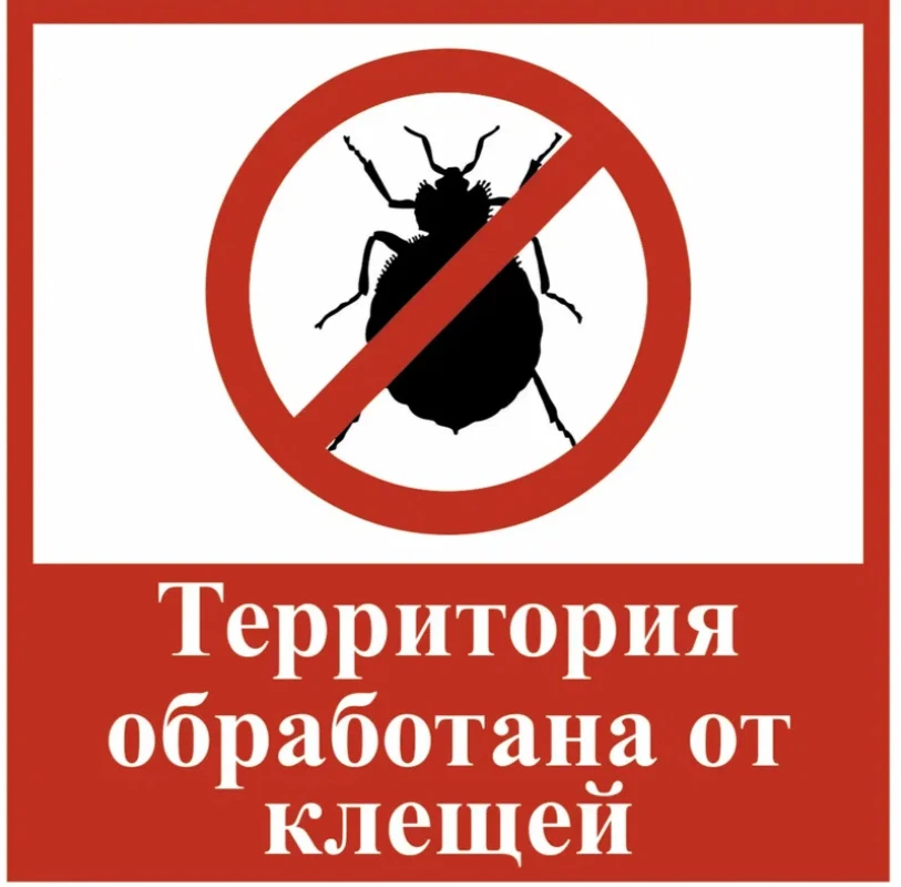 В минувшие выходные на территории нашего детского сада была проведена обработка от клещей.