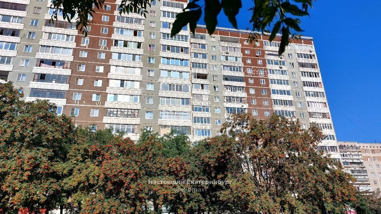 Рябина уже краснеет на Сыромолотова. Красота ❤️

Прислать новость: админ
