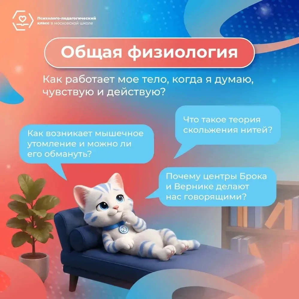 Три спецкурса, которые превращают интерес к людям в профессию ✍️

В психолого-педагогических классах