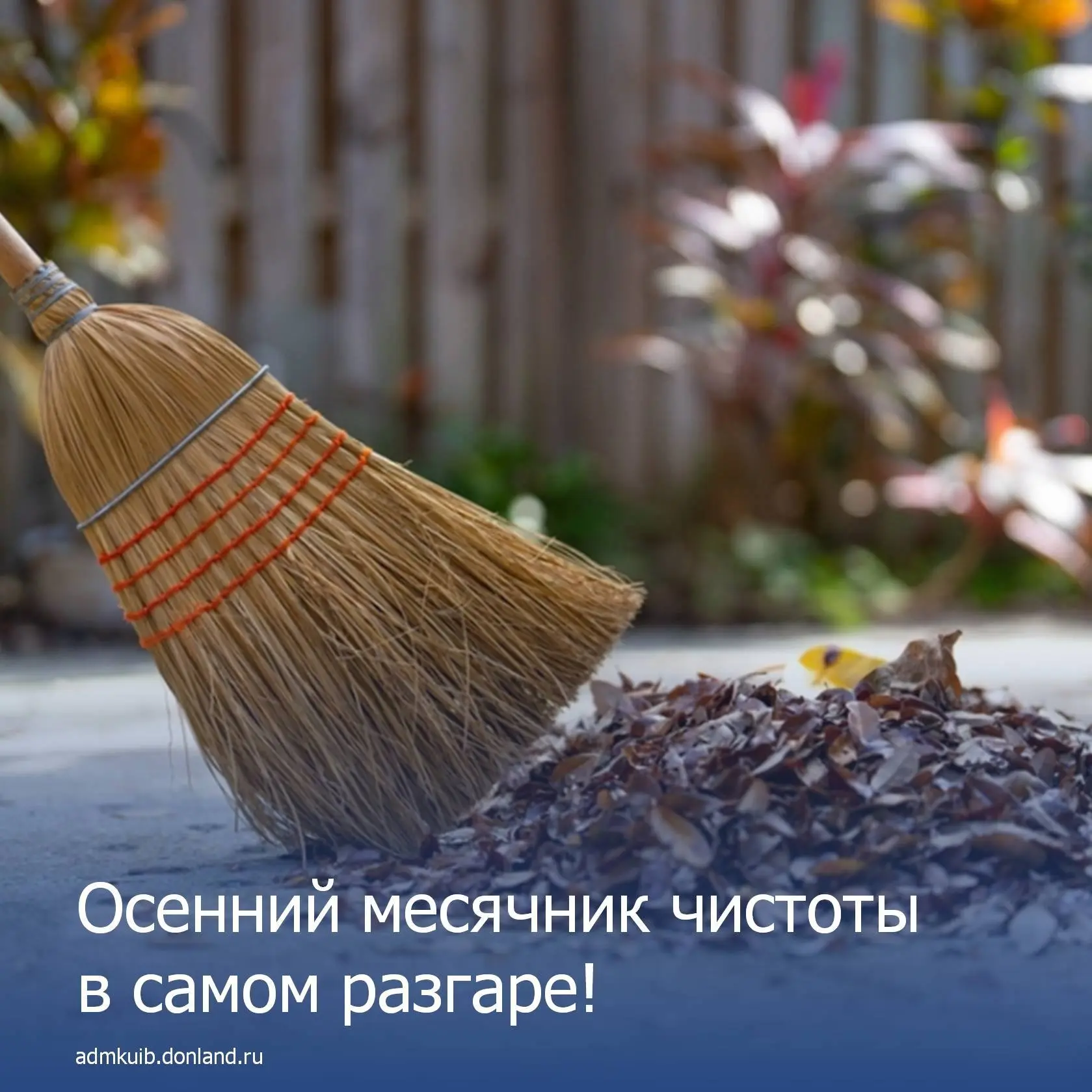 🍂 Осенний месячник чистоты в самом разгаре!