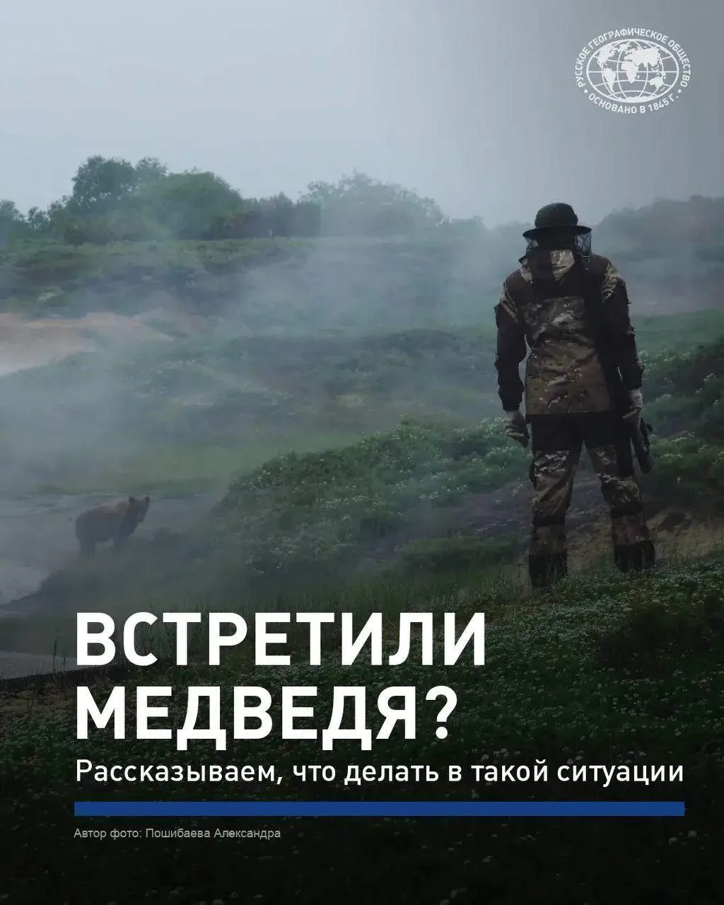 ❌ Походы отменяются, всё из-за медведей