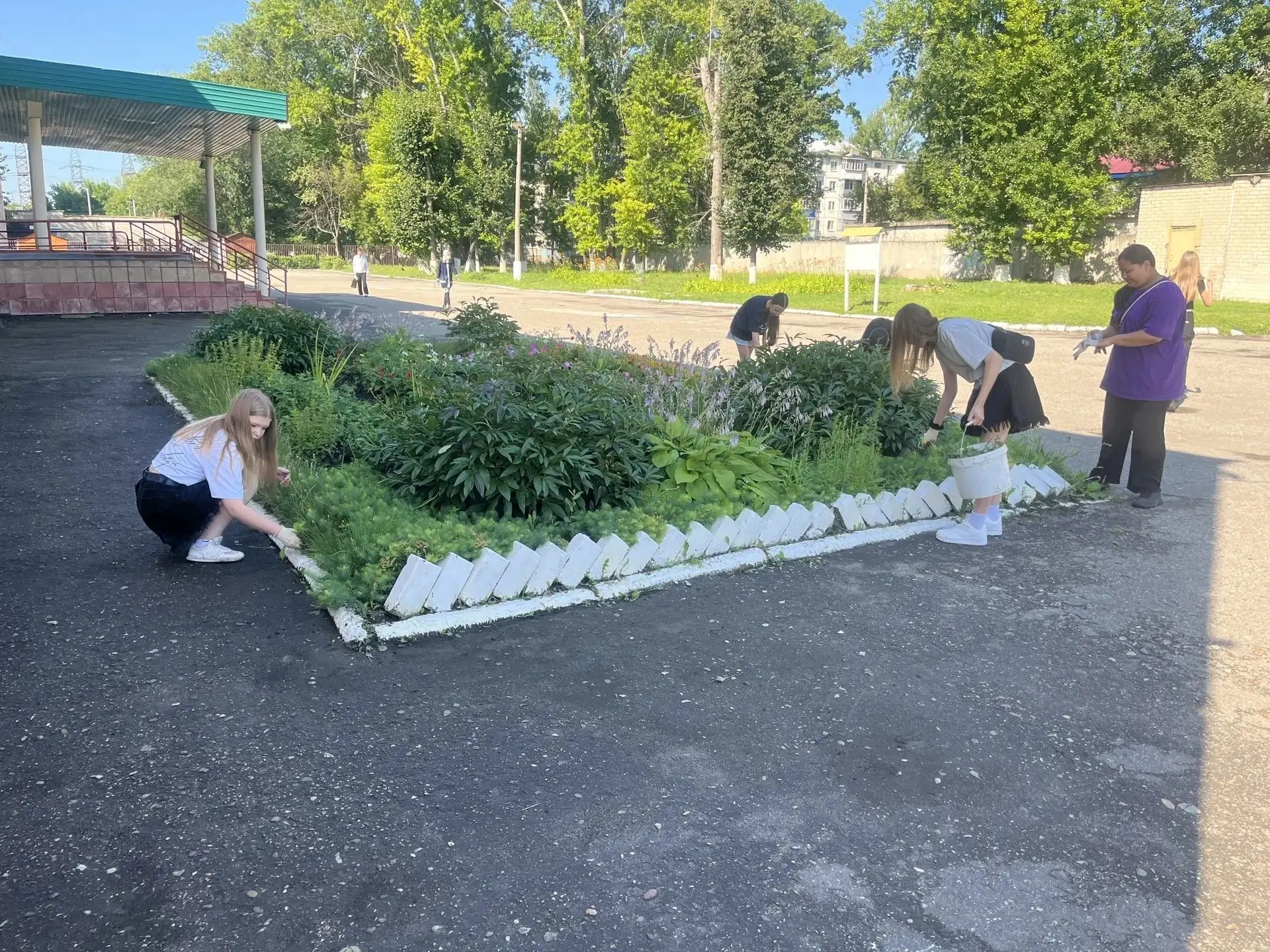 🌸 Летняя практика продолжается!