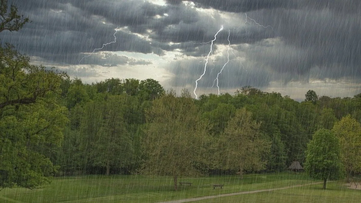 ⚡️☔️На основании бюллетеня погоды от Томского ЦГМС - филиала ФГБУ
«Западно - Сибирское УГМС» от 3 ав