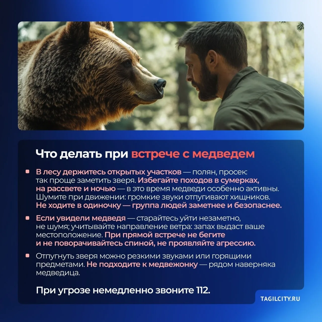 В Свердловской области участились встречи с медведями