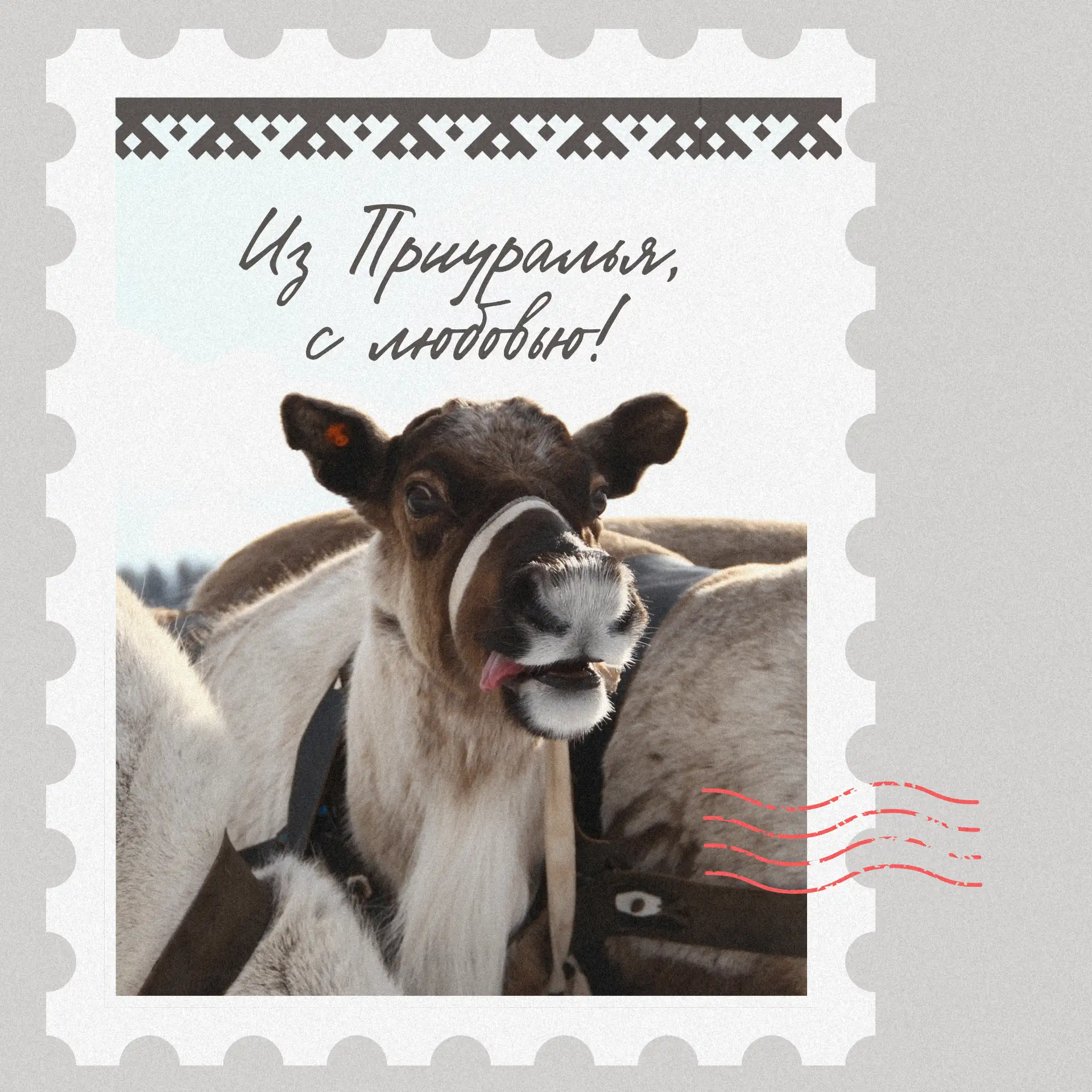 💌Вам открытка!