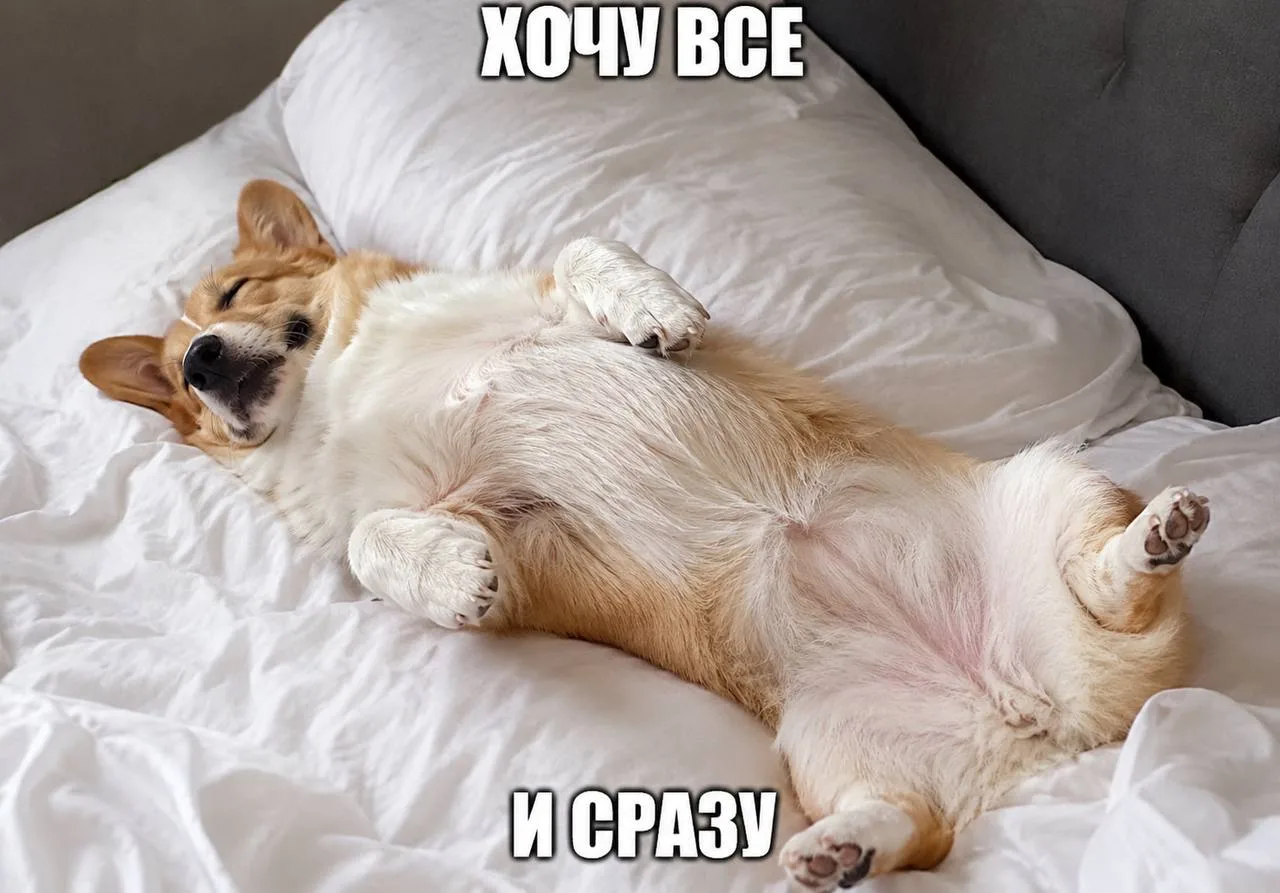 🤩 День загадывания желаний отмечается сегодня 

- Ты знаешь, что делать 

❤️ Подписаться в МАКС | T