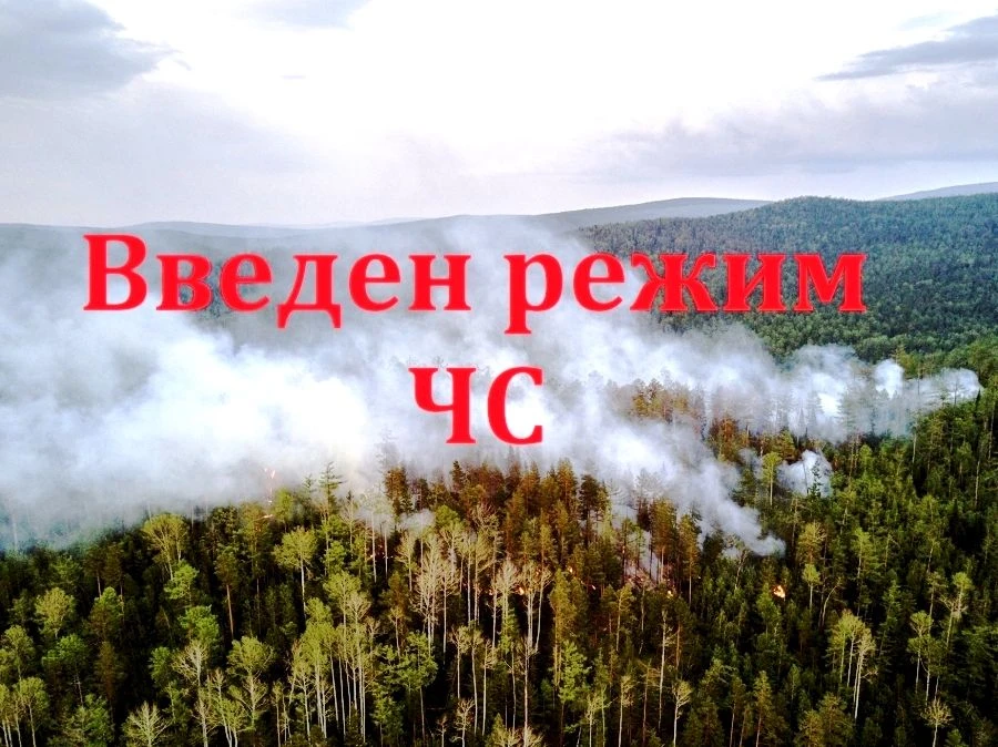 🚨ВНИМАНИЕ: режим ЧС в лесах Верхнекетского района.