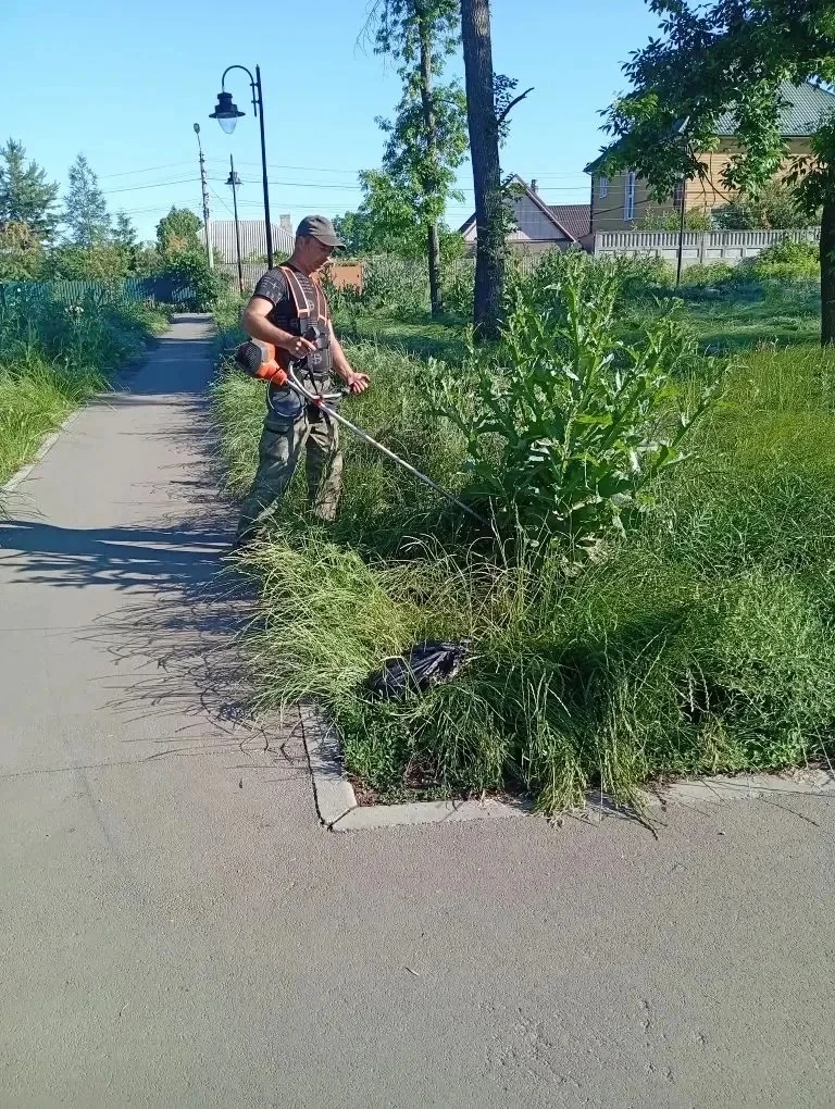 Силами МУП АГОД ДНР «Зеленое строительство г.Донецка» ведутся работы по покосу травы в парке им. Гор