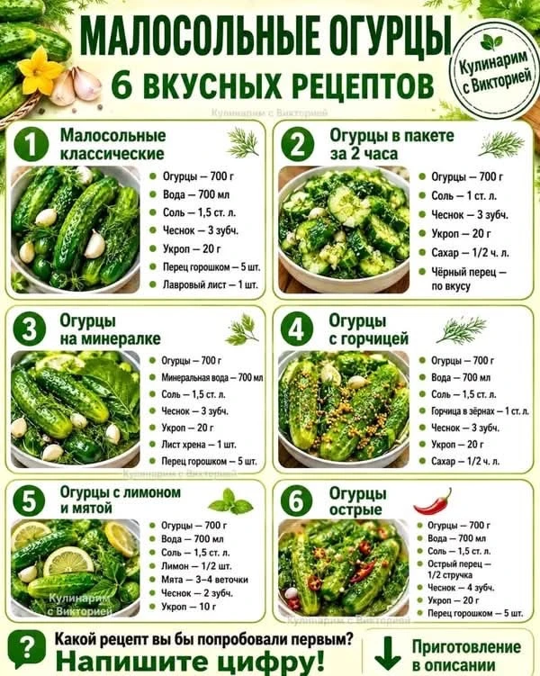 Пенсионеры онлайн ✅