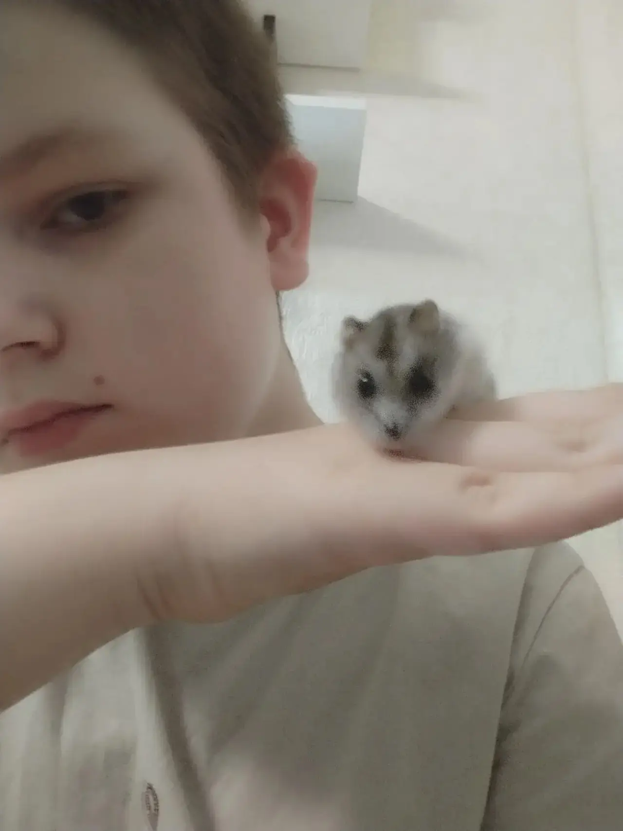 🐾 «Мой питомец — мой друг» 🐾