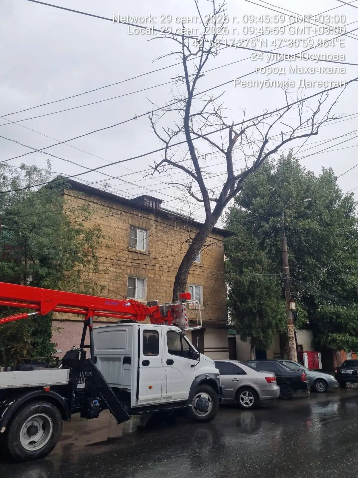 Бригада МБУ «Благоустройство» выполнила спил сухостоя на улице Юсупова, 24.