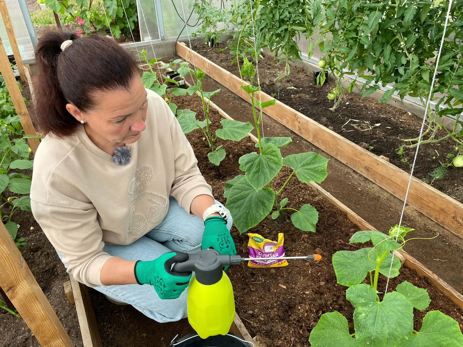❓Поясните, пожалуйста, рекомендованные вами нормы применения удобрений для некорневых п...