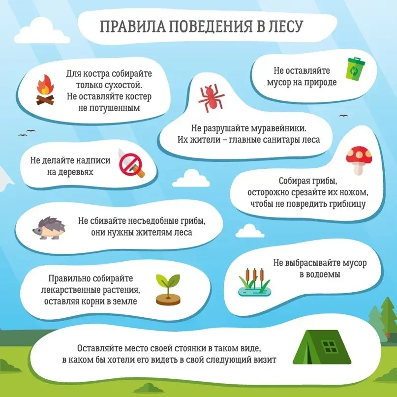 🌳 Безопасность детей — наш главный приоритет!