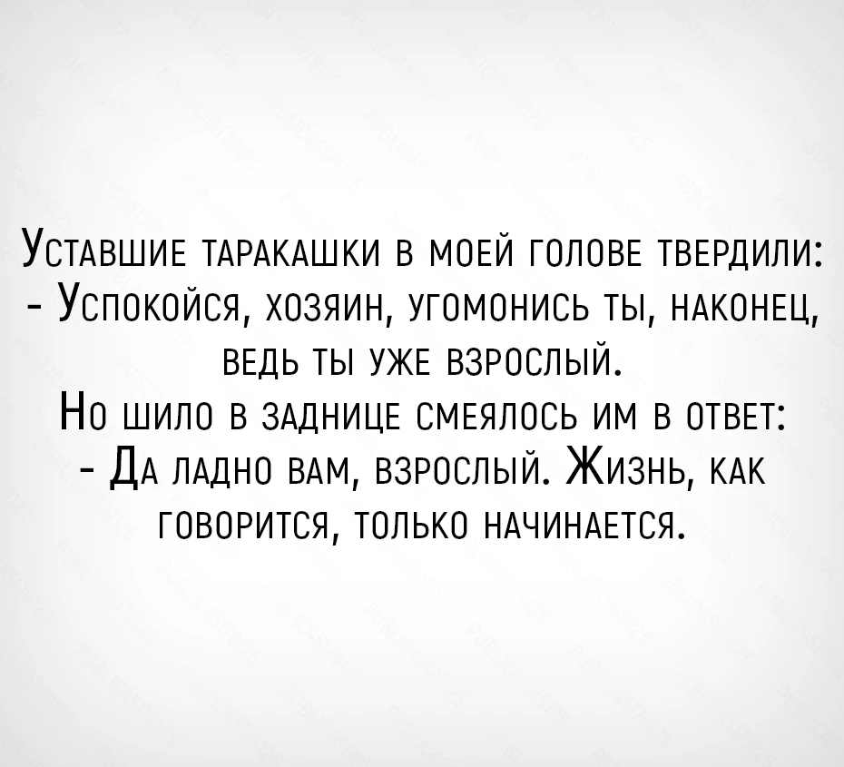 Анекдоты в MAX 👉 Подписывайтесь