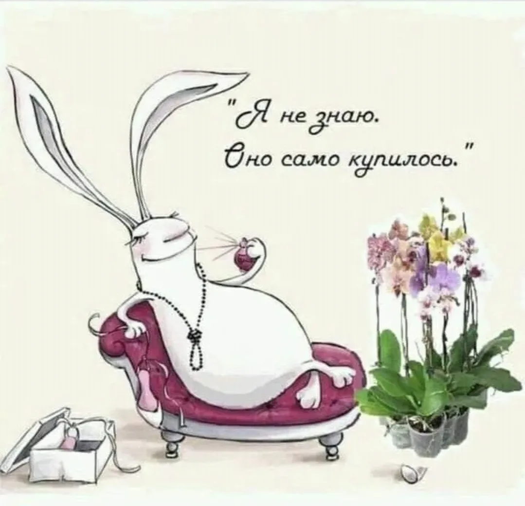 😁📸УЛЫБНИТЕСЬ📸😁  ✅ Подписывайтесь на сообщество ВК «МОЯ ГОРТЕНЗИЯ»: https://vk.com/moiagortenzia, что