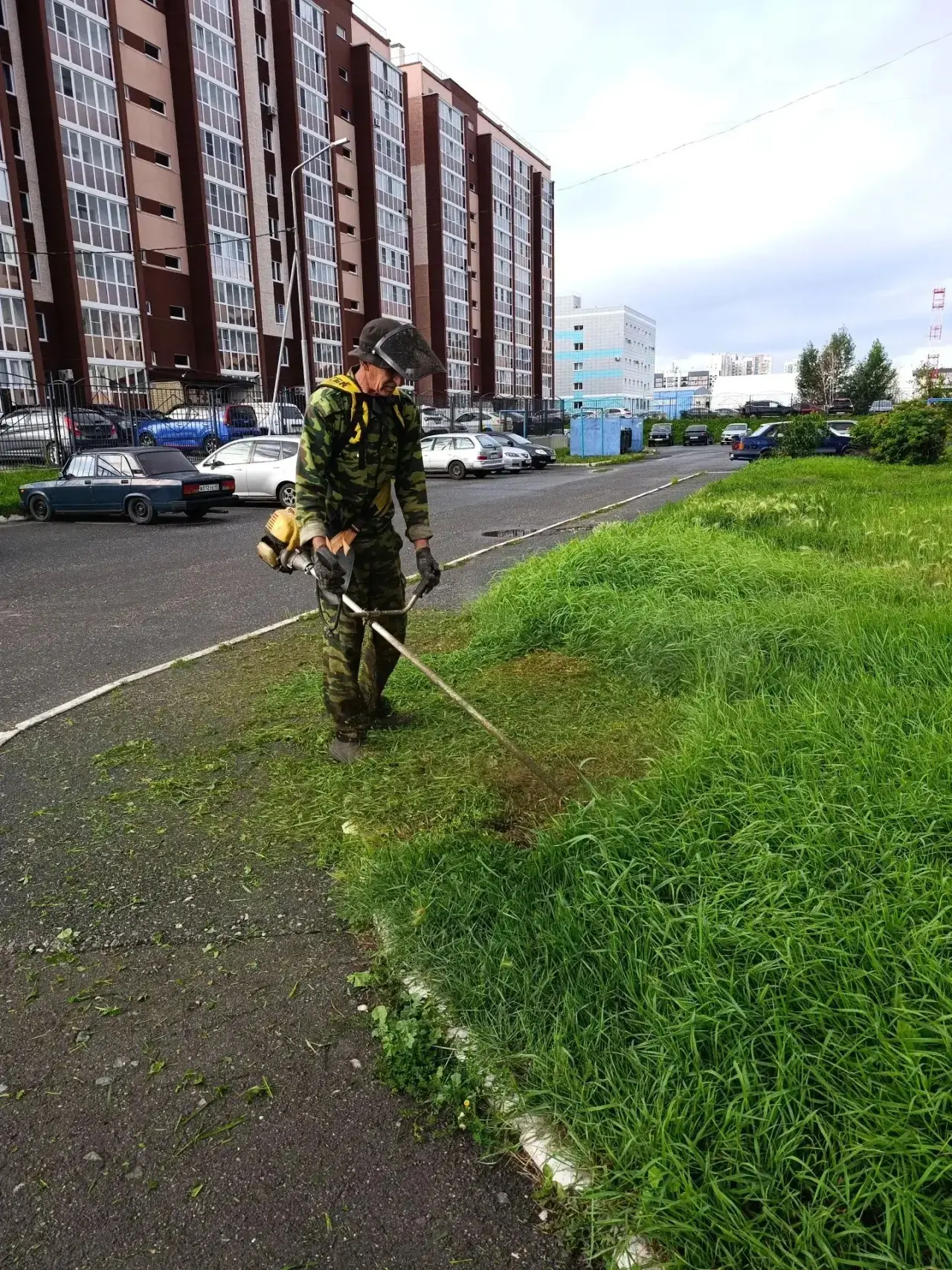 Покос травы: план на эту неделю 🌿