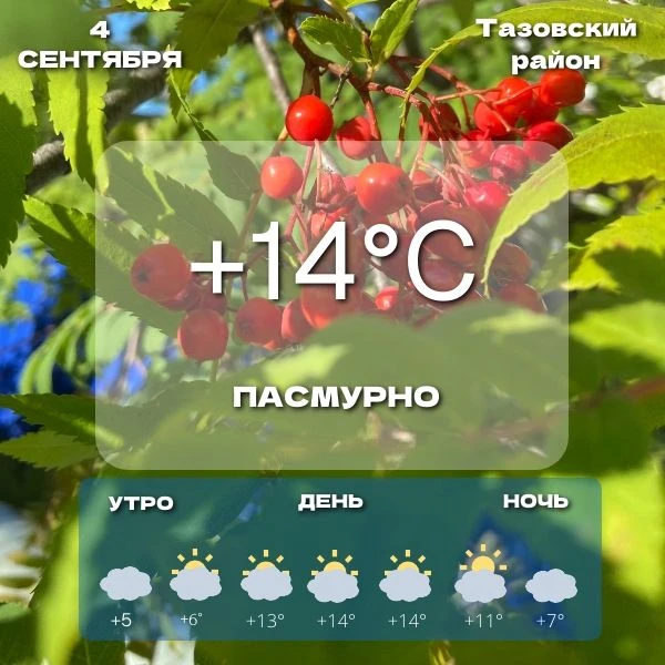 🌤️Прогноз погоды на сегодня