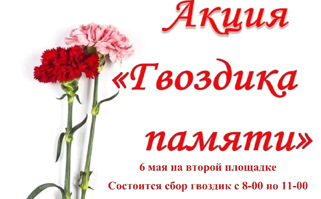Гвоздика Памяти🎗 6.05.2026 на второй площадке запускается районная акция "Гвоздика памяти" Сбор гвоз