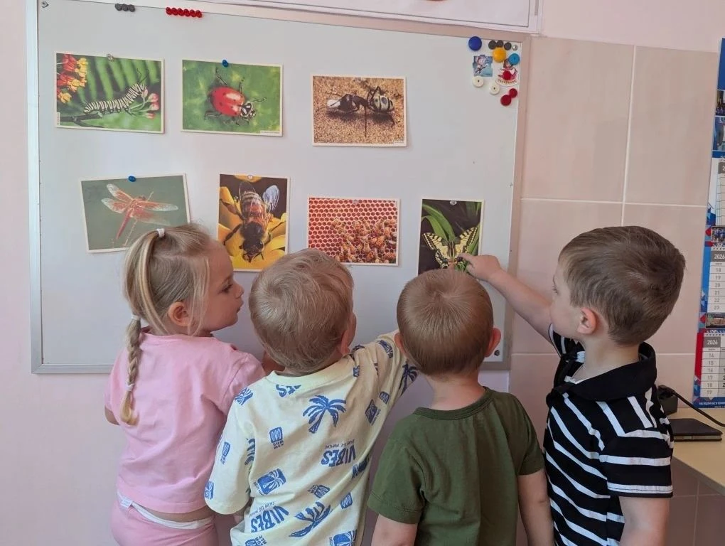 🐝 Как мы отметили Всемирный день пчёл в младших группах! 🌍✨
Сегодня наши малыши окунулись в удивит