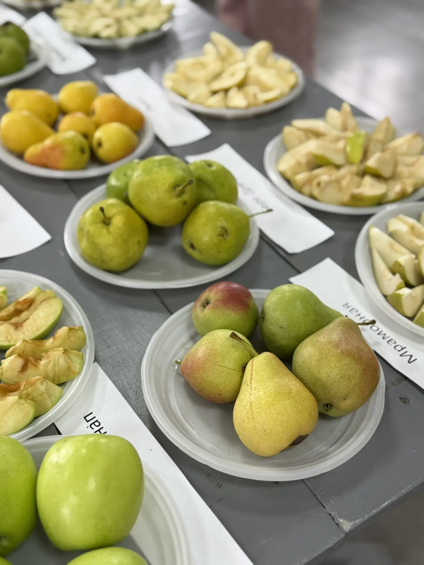🍎 Уже завтра встречаемся в питомнике «Ивушка»!