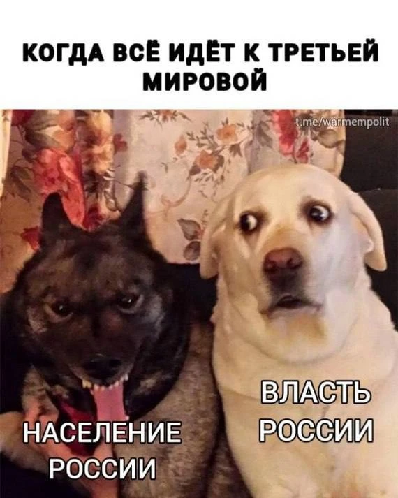 Жизненно))