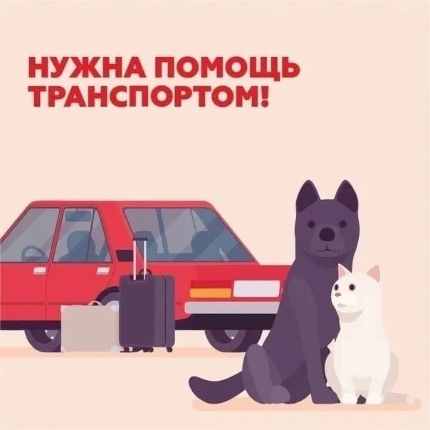 ❗  ТУТАЕВ ❗