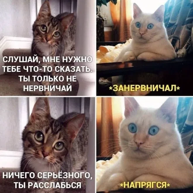 Наш телеграм: https://t.me/votetoprikol90