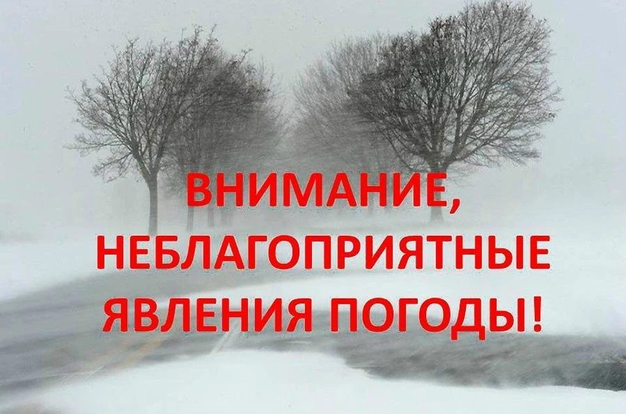 Предупреждение о НГЯ №189 от 19.09.26г.: ночью и утром 20 сентября местами по Московско...