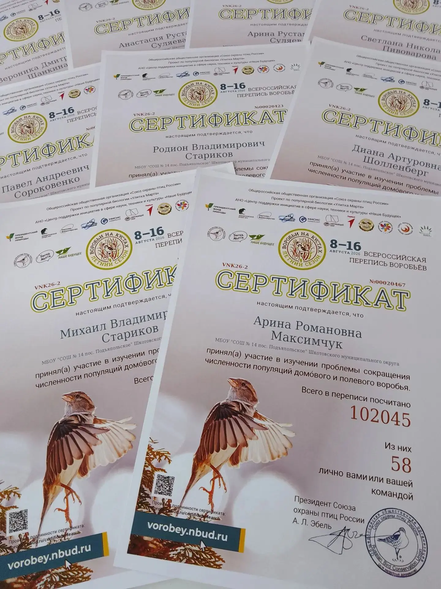 🐦ВОРОБЬИ НА КУСТАХ-2026