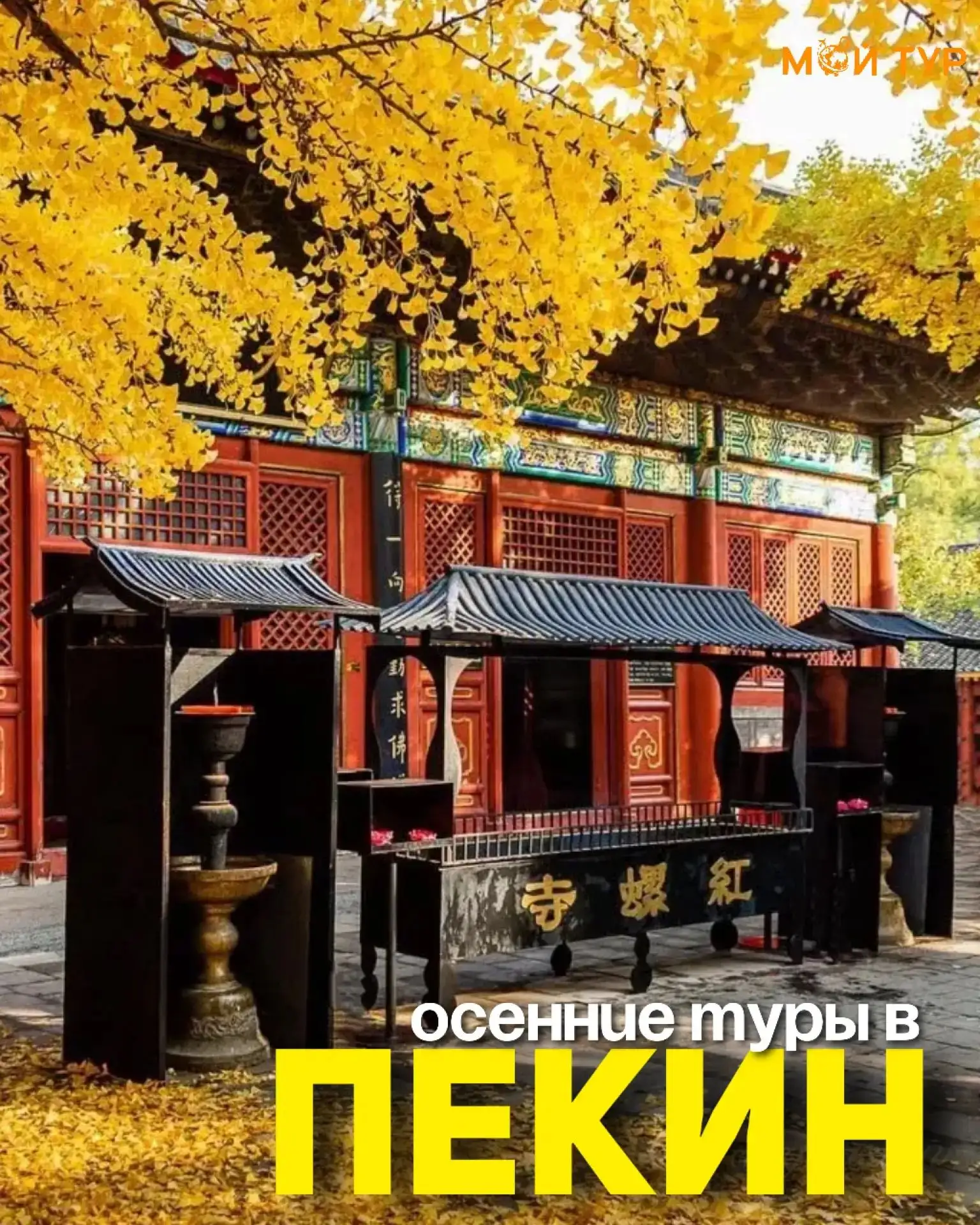БРОНИРУЕМ ТУРЫ В ПЕКИН НА ОСЕНЬ УЖЕ СЕЙЧАС