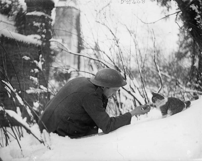 Британский солдат во Франции. Первая мировая война, 1917 год.