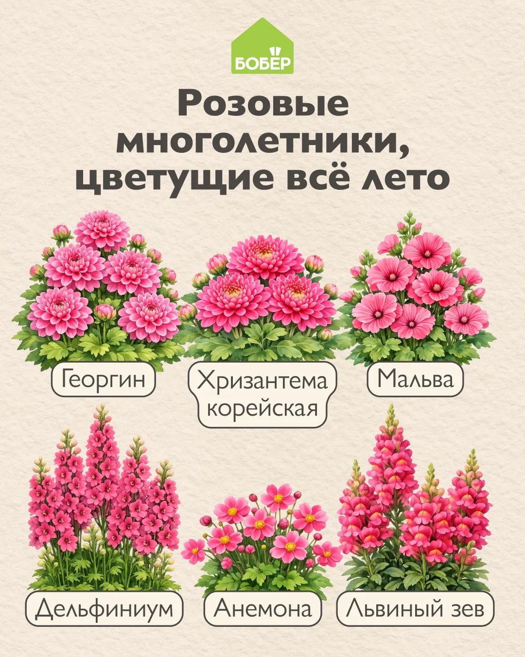 Беспрерывное розовое цветение ❤

Какие из этих многолетников уже растут в вашем саду, друзья?