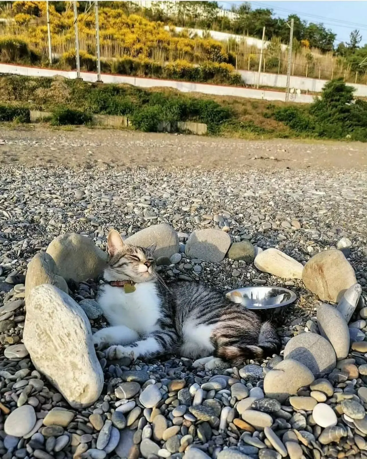Свой бунгало на берегу моря⛱️🌴🌊🌅😻