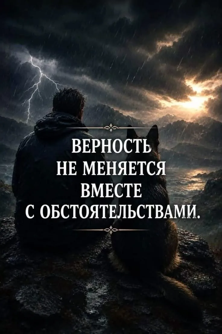 Понравилась открытка? Оставьте, пожалуйста, реакцию 🩷