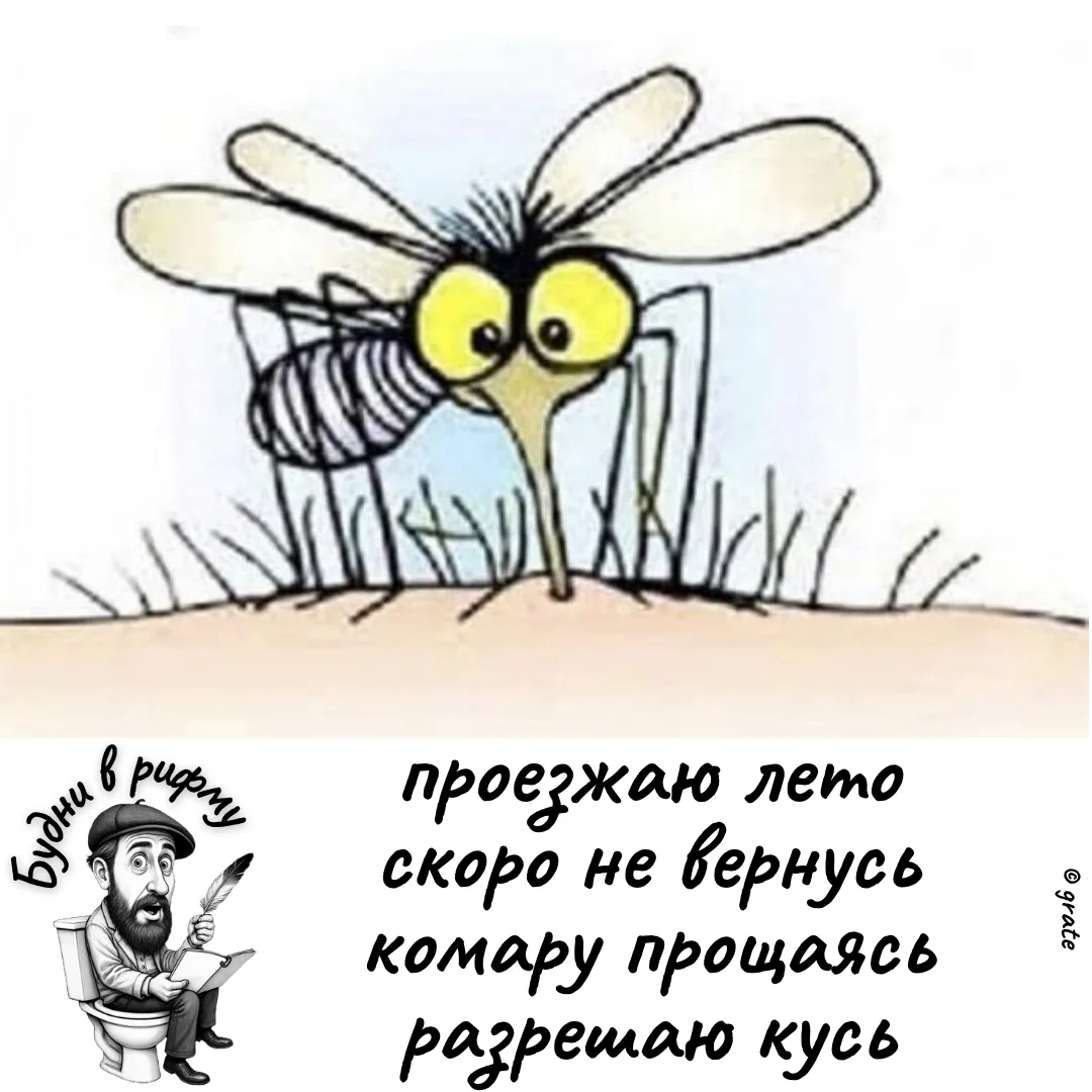 🥴—Про наступившую осень...