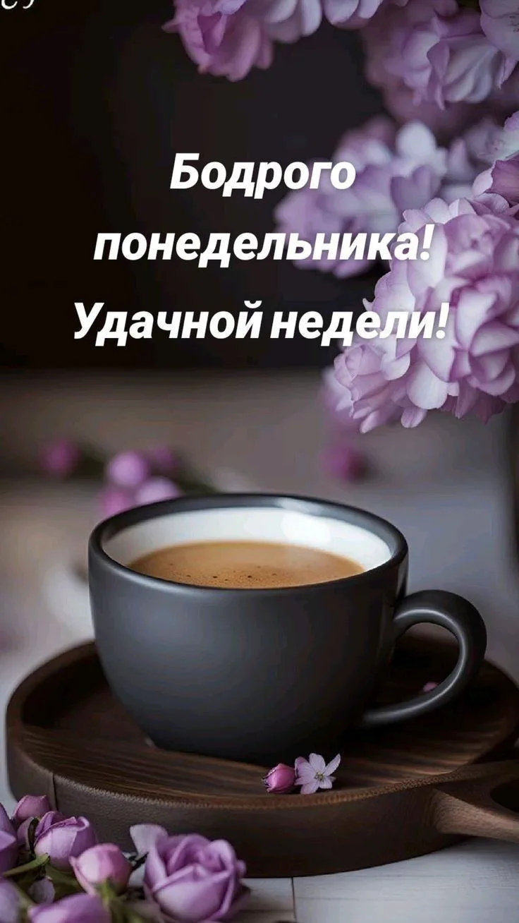 Новая неделя — новые планы. Желаем, чтобы они оказались выполнимы на сто процентов без суеты и сложн